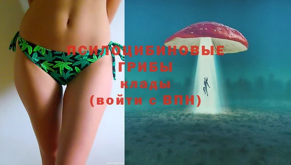 гидропоника Армянск