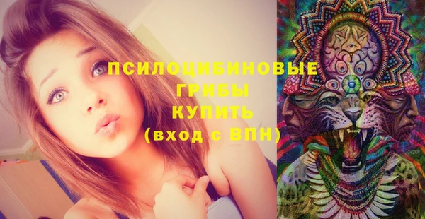 ALPHA-PVP Алексеевка
