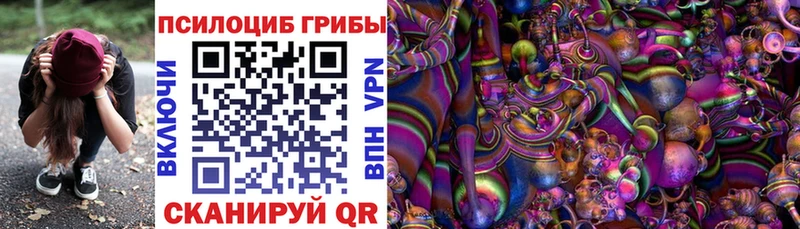 Купить где  Коркино  Псилоцибиновые грибы ЛСД 